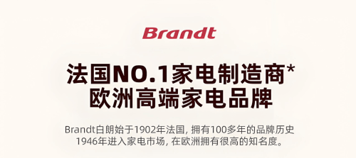 白朗BK4烤箱精准拿捏上流圈层品味凯发一触即发顶级富豪的一致选择法国(图5)